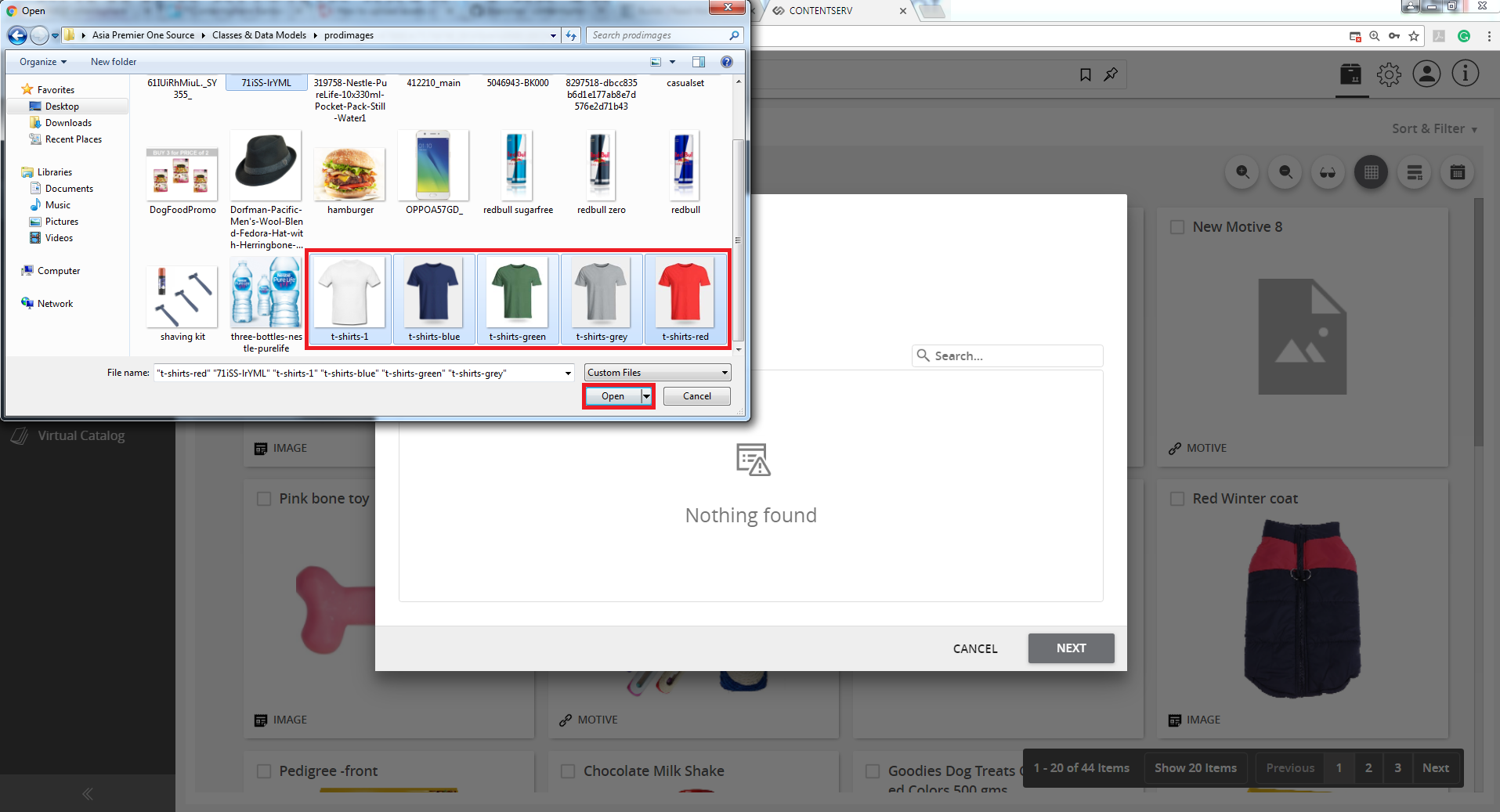 ../../../_images/cs_bulkimportofassets_oncethebuttonisclicked.PNG